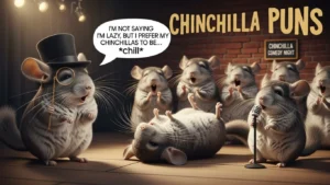 chinchilla puns