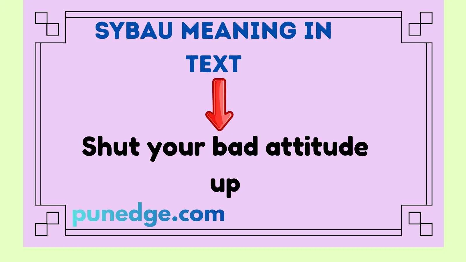 SYBAU Meaning in Text