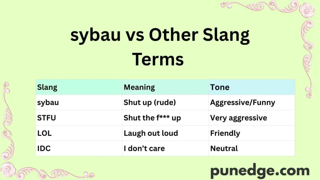 sybau vs Other Slang Terms 