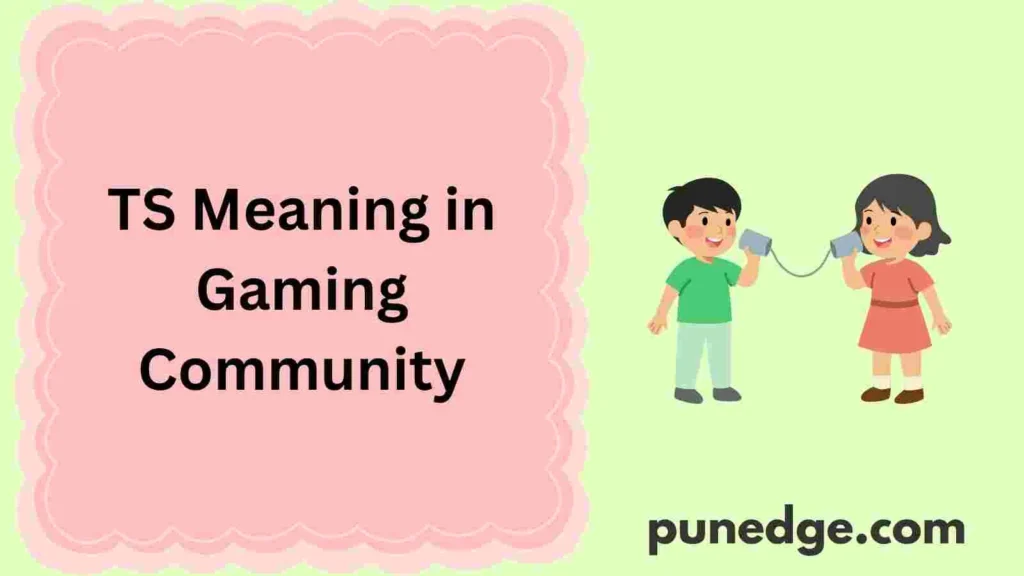 TS Meaning in Gaming Community