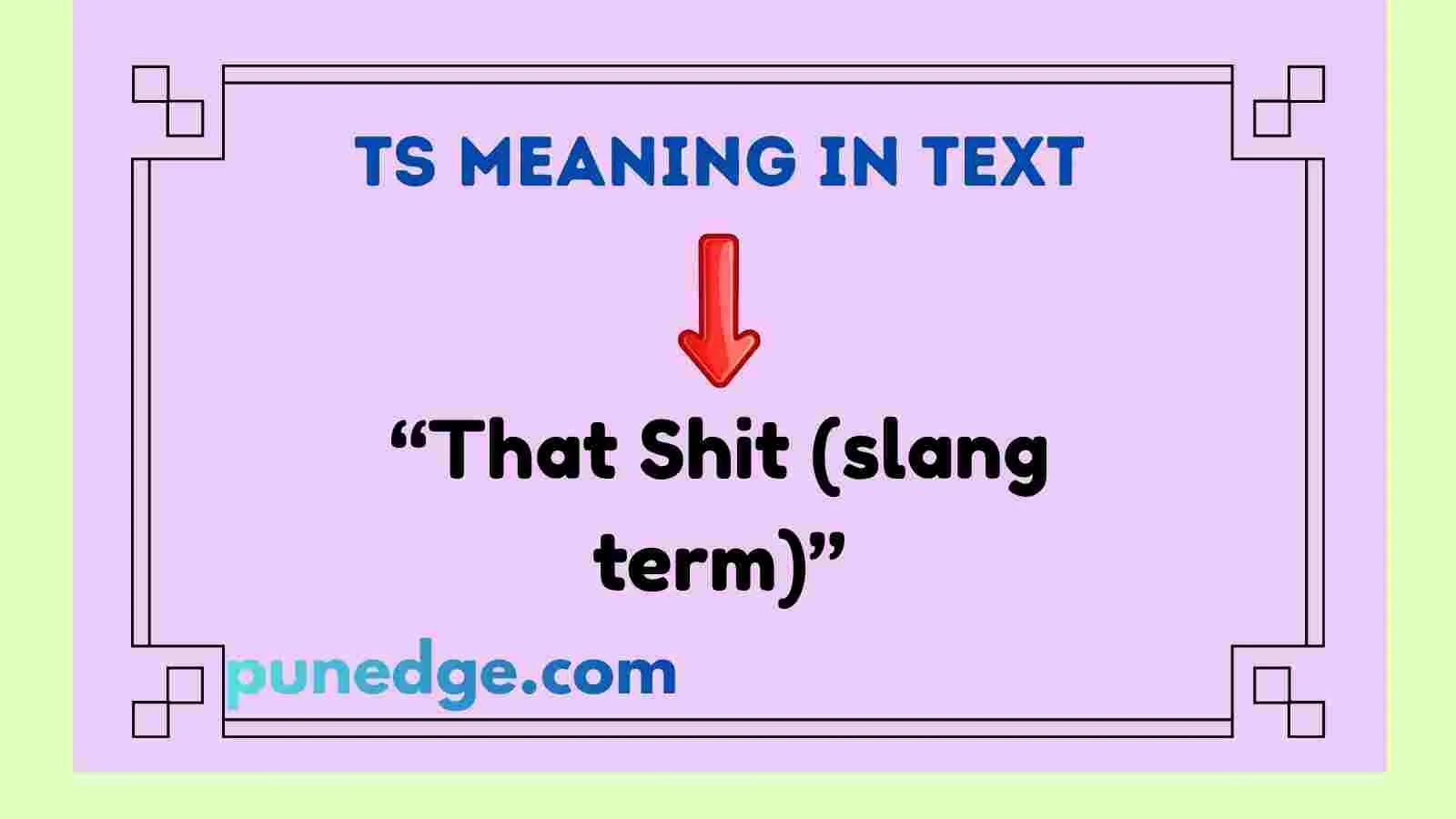TS Meaning in Text