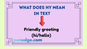 What Does HY Mean in Text