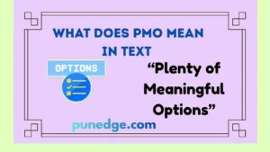 What Does PMO Mean in Text