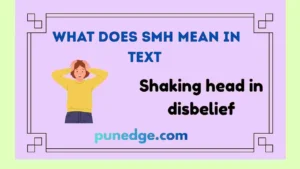 what does SMH mean in text