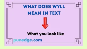 What Does WYLL Mean In Text