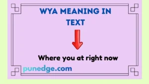 WYA Meaning in Text