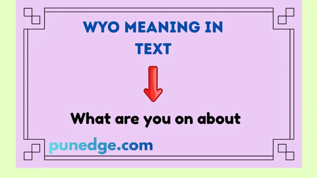 WYO Meaning in Text