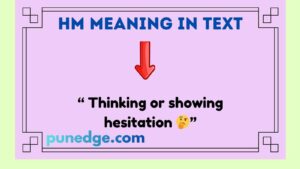 HM Meaning in Text