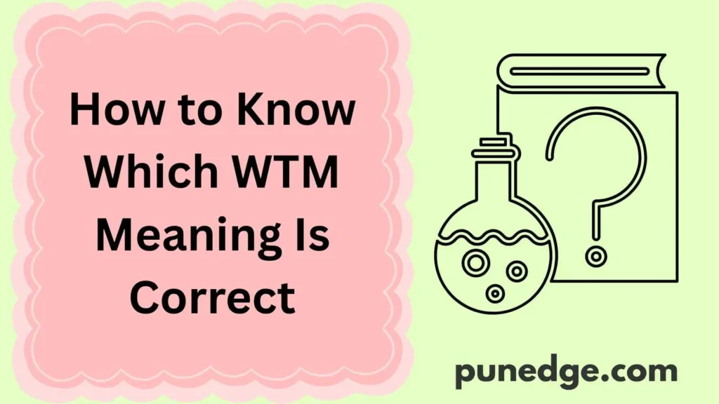 How to Know Which WTM Meaning Is Correct