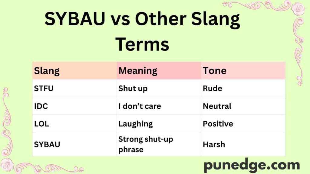SYBAU vs Other Slang Terms