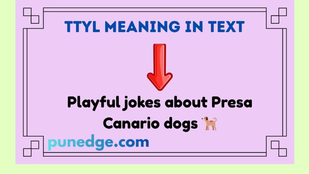 TTYL Meaning in Text