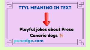 TTYL Meaning in Text