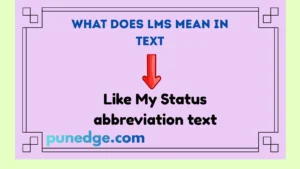 What Does LMS Mean in Text
