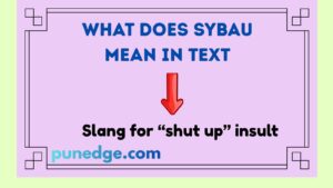 What Does SYBAU Mean in Text