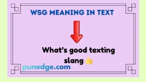 WSG Meaning in Text