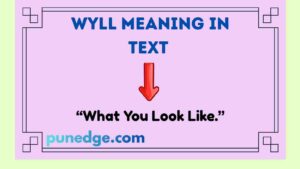 Wyll Meaning in Text