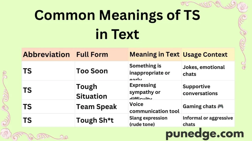 Common Meanings of TS in Text