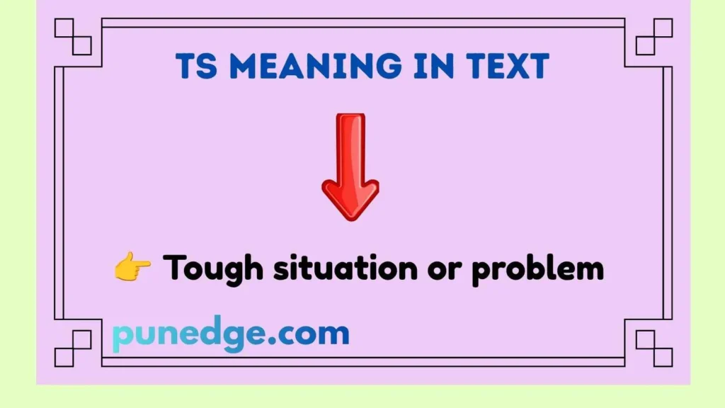 T.S Meaning in Text