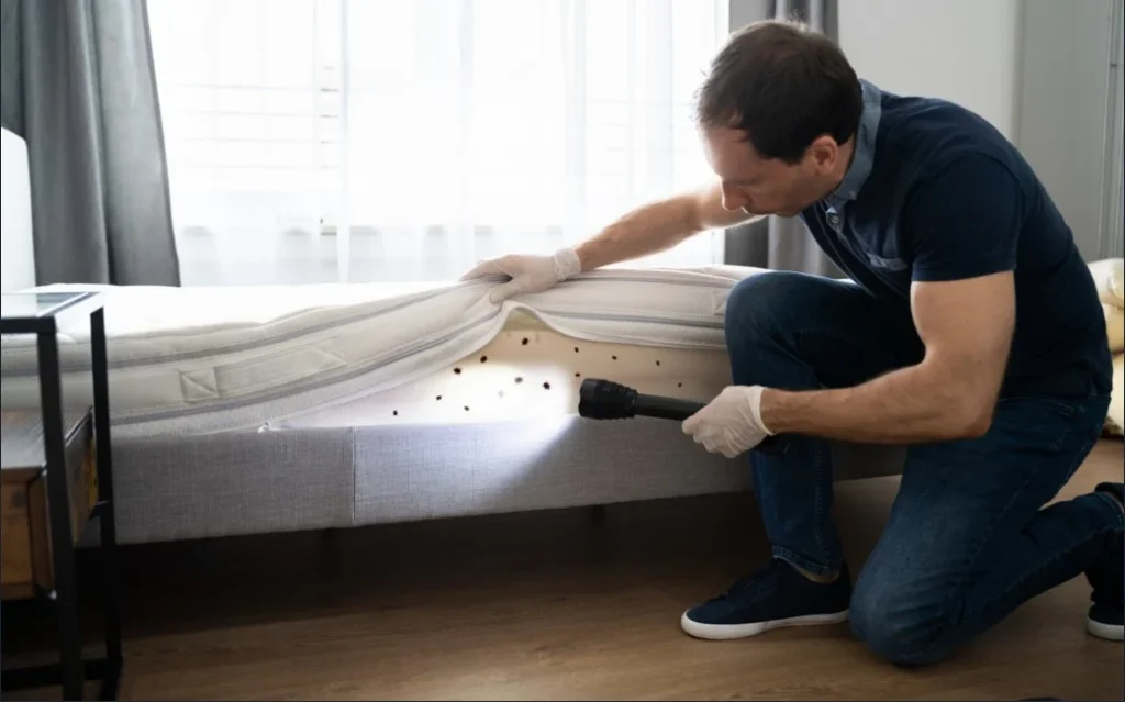 Back-to-School Bed Bug Prevention Tips for Families